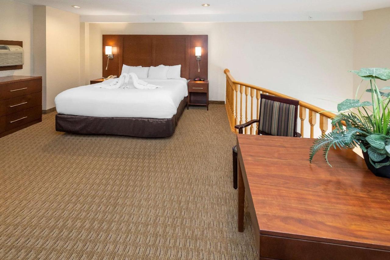 Comfort Inn & Suites Medicine Hat Εξωτερικό φωτογραφία